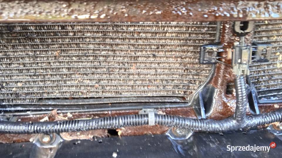 KIA CEED I FL PAS PRZEDNI KOMPLET 15 CRDI Pasy przednie i tylne Zbierkowo sprzedam