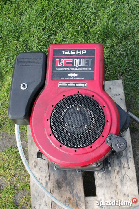 silnik briggs Tarnów