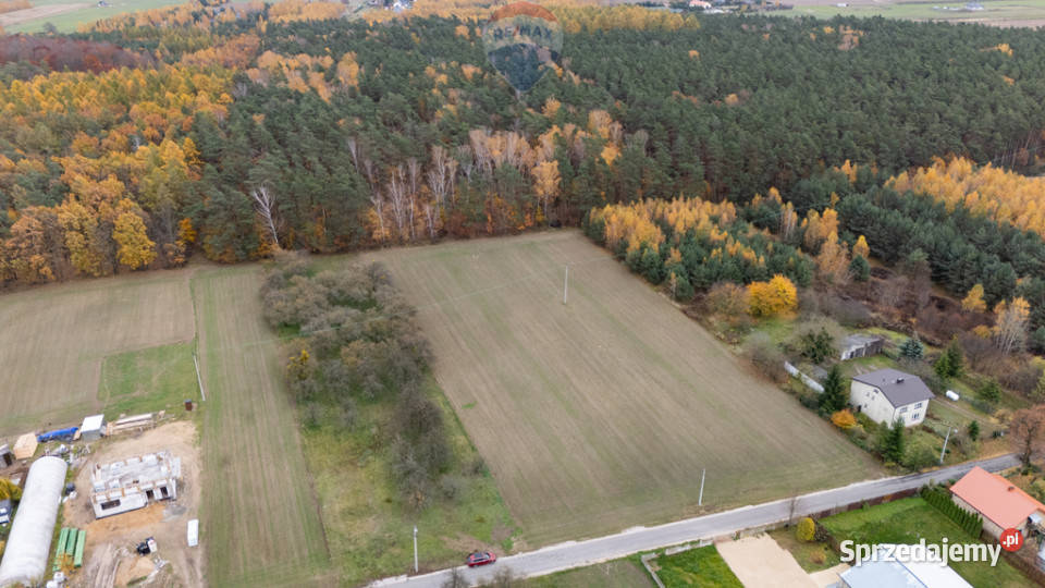 Działka pod lasem Załuski