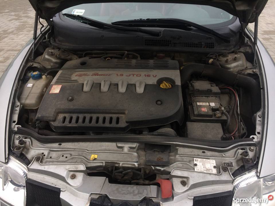 Alfa Romeo gt najbogatsza wersja Bertone Sportowy / Coupe Radawiec Duży