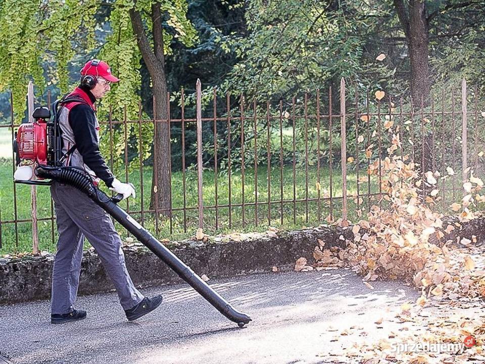 CIFARELLI BL6S DMUCHAWA DO LIŚCI CICHY ODKURZACZ Opalenica