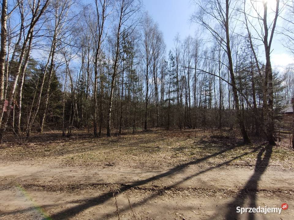 Sprzedam dwie działki rekreacyjno budowlane w budowlana Cyprianów