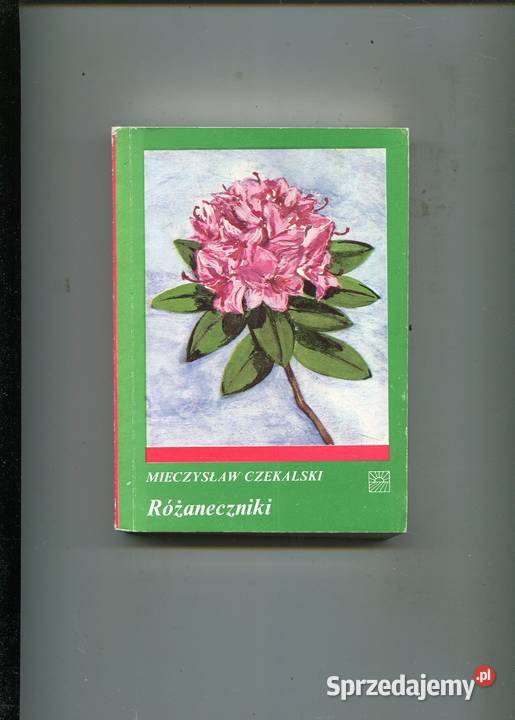 Różaneczniki Czekalski Szczecin