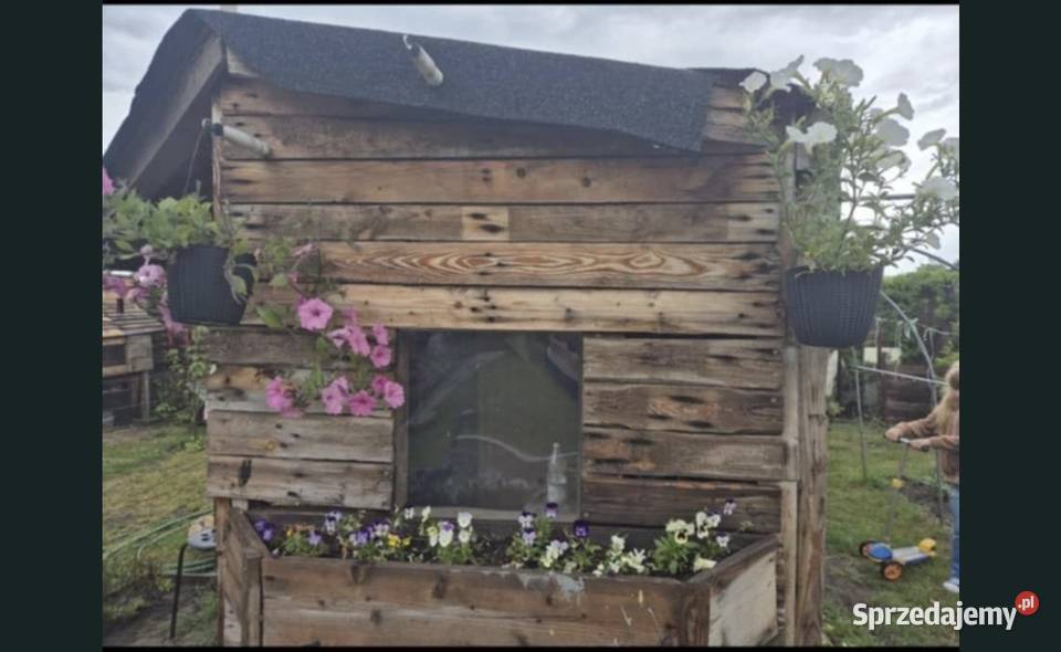 Ogródek dzialkowy Wrocław