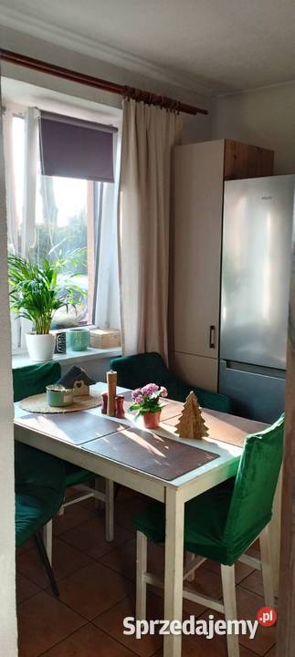 Siedlisko Czernięcin 225 ha dom 148 m 600 000 Czernięcin Poduchowny