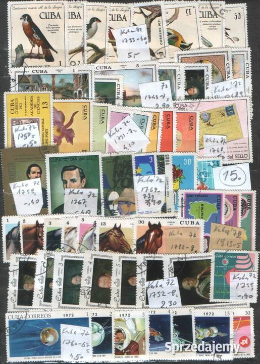 Zn Kuba Zest 15 kas Gliwice