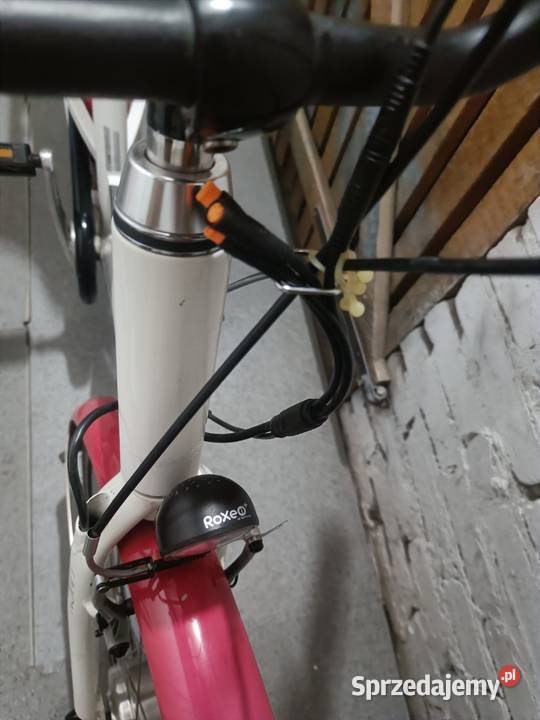 Dama elektryczna Union 250W tanio