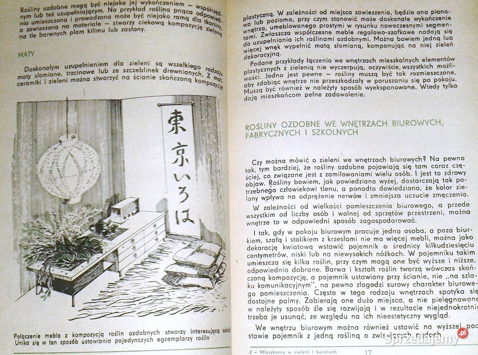 Mieszkanie w zieleni i kwiatach K Muszyński Rok wydania 1980 Chełm
