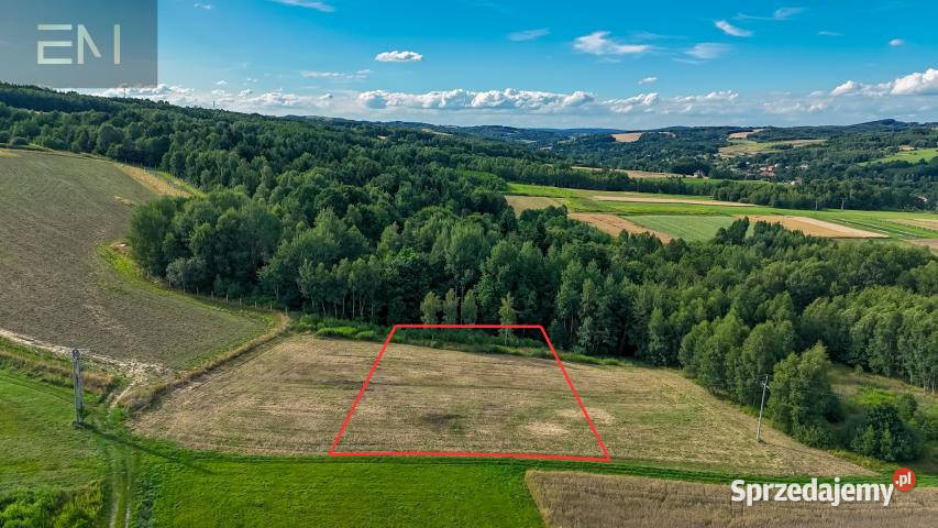 sprzedaży gruntu Konieczkowa 1752m2 podkarpackie