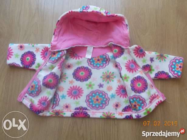 Polarek dzidziusia Kłodzko