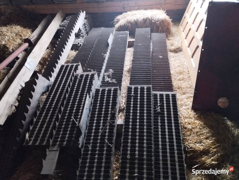 Na sprzedaż wytrząsacze NF510 Szalowa