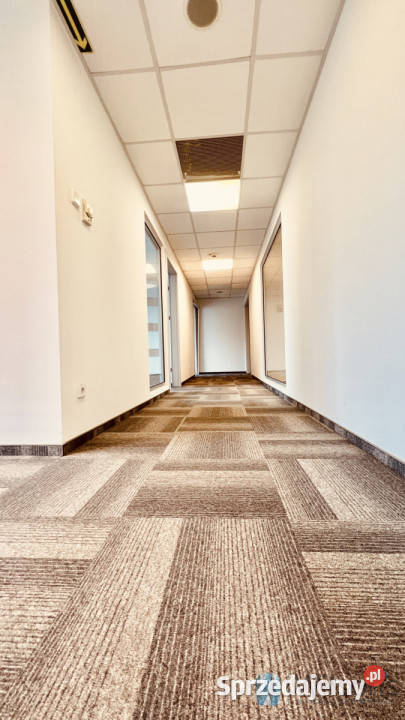 Lokal Warszawa 29811m2 298.11m2 mazowieckie