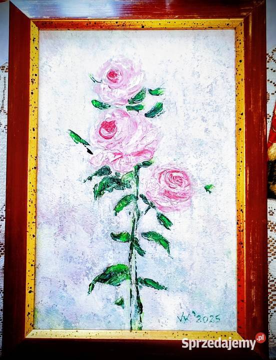 Różowe róże sprzedam