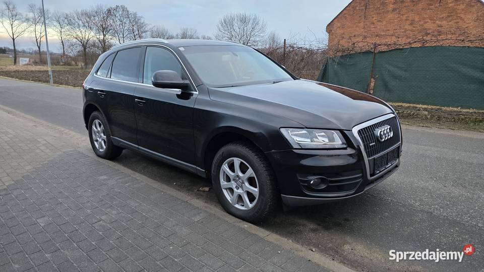 Audi Q5 20 TDI Quattro nieuszkodzony Nowy Świętów