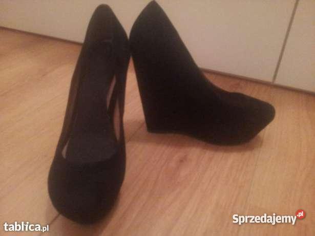 koturny ALDO 39 mazowieckie