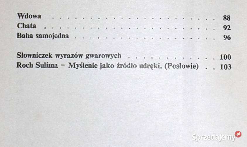 Chylą się moje dni Emiia Michalska Chełm