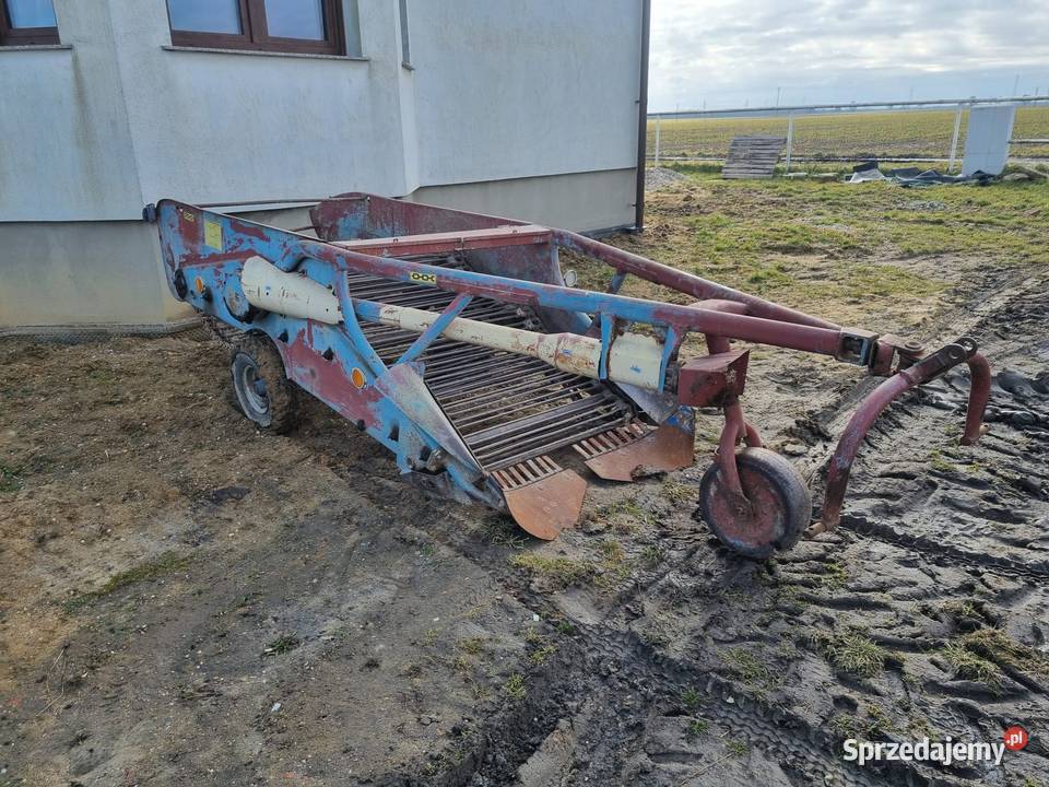 Kopaczka elewatorowa nieuszkodzony Grodków