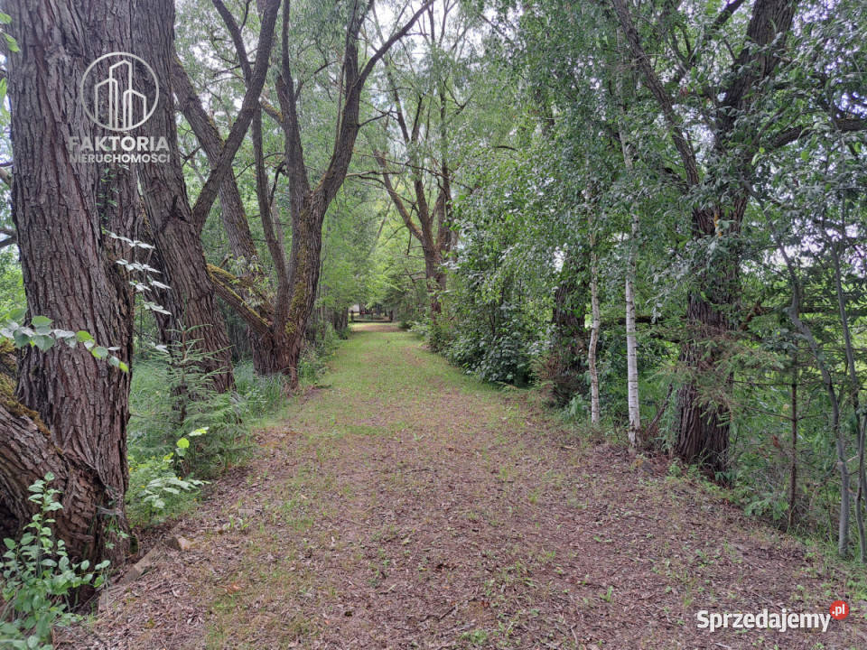 Działka 16000m2 Sobolewo Baranowicka