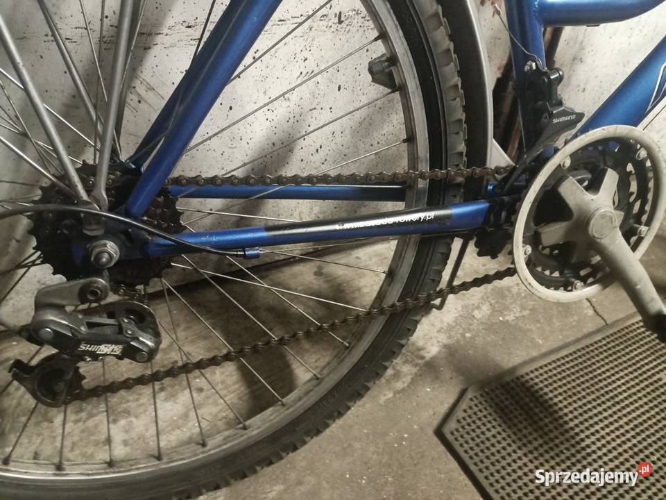 Rower damka Zasada Maxim Toruń