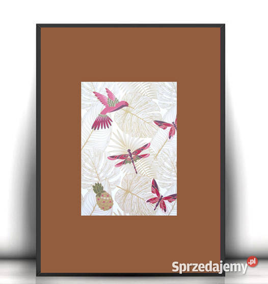 koliber obrazek A4 boho plakat do domu ważka Plakaty zachodniopomorskie sprzedam