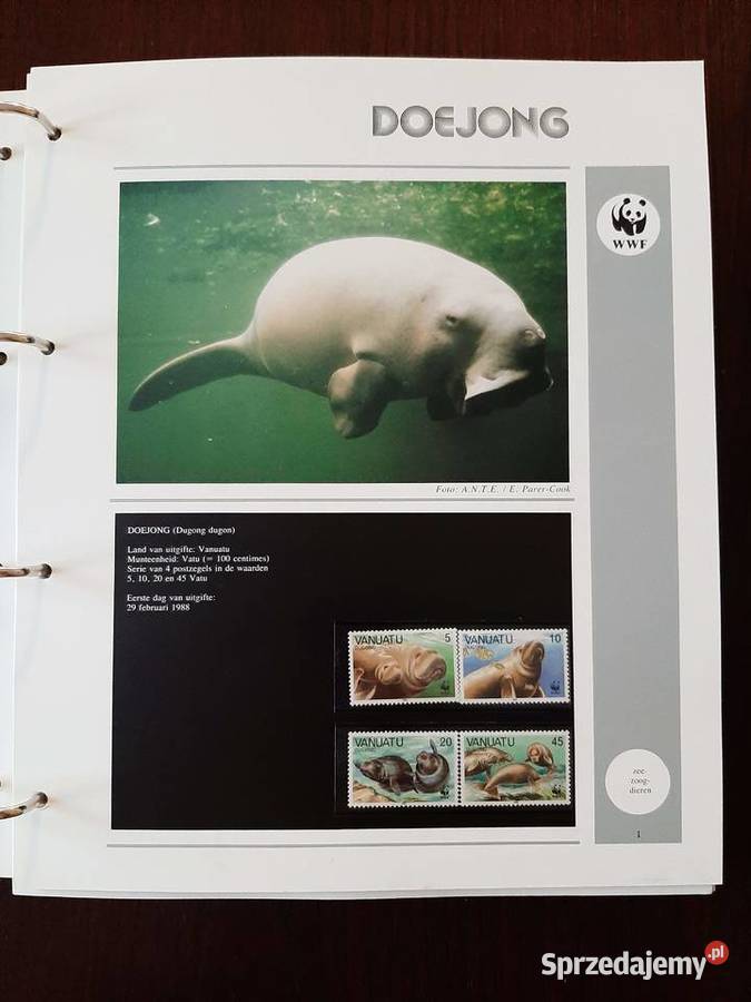 World WWF Kolekcja w specjalnych albumach Konin