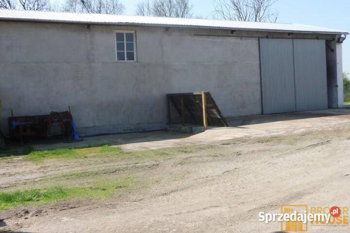 Sprzedam lokal 189897m2 Bielice