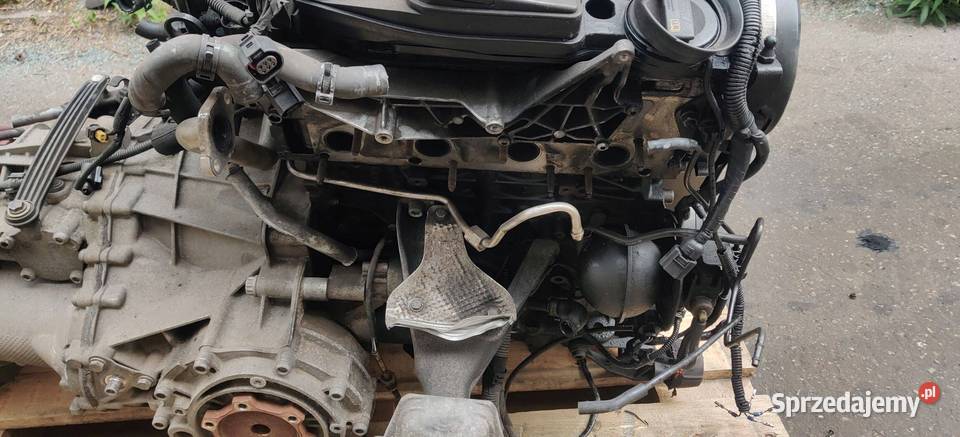 SILNIK AUDI A4 B8 20 TDI CAH NA CZĘŚCI osobowe Rudziniec