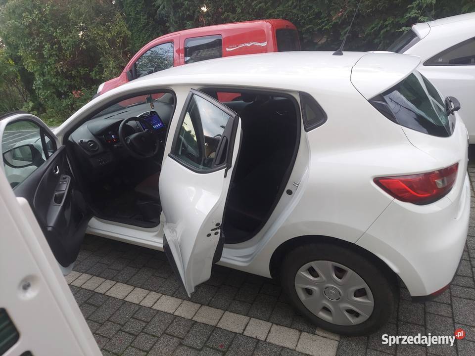 Renault Clio 2004 80KM Blizne