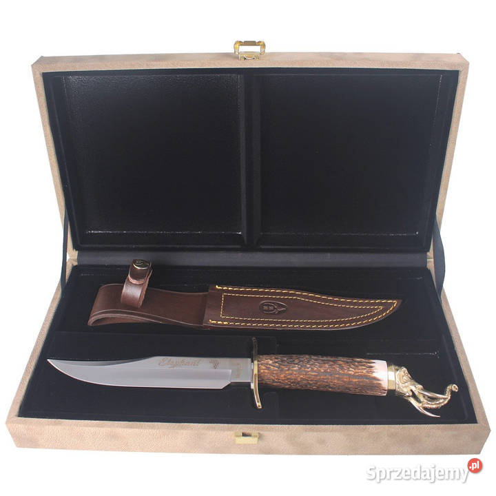 Nóż Muela Big Five Deer Stag Satin 14116 Gift
