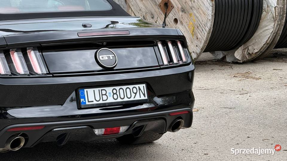 Mustang Europa wersja Szwajcaria Bełżyce