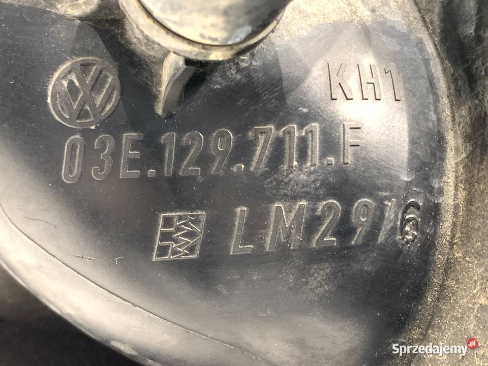 KOLEKTOR SSĄCY VW POLO V 03E129711F 12 70