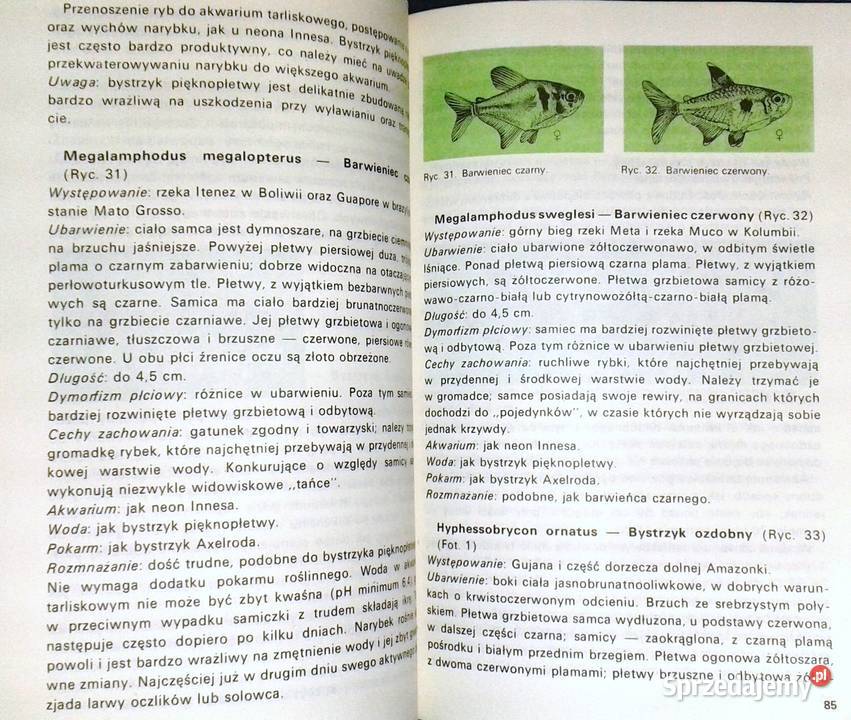 Słodkowodne ryby akwariowe Stefan Kornobis Pozostałe Chełm