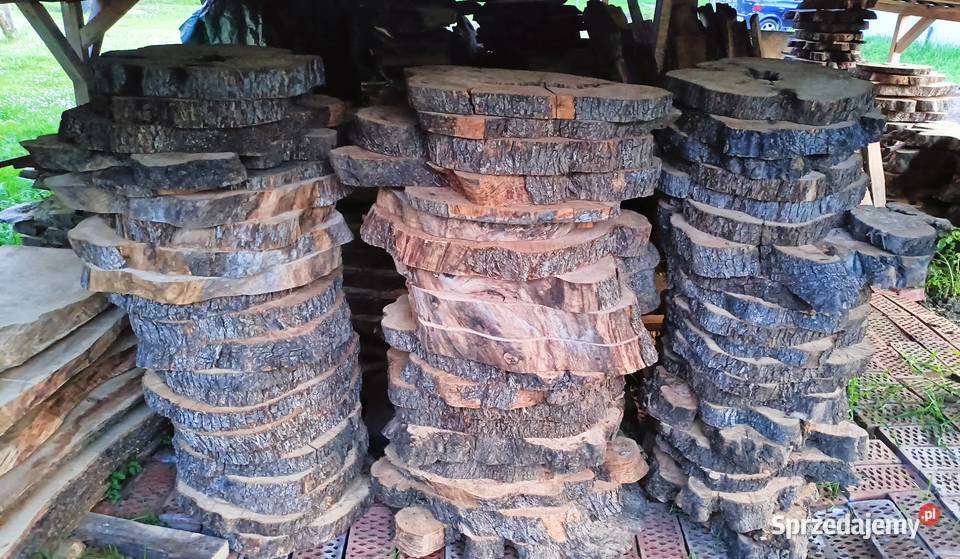 Oliwka europejska deskiplastrybale Mielec