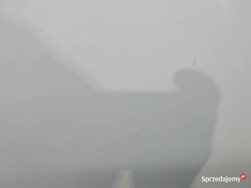 DRZWI LEWE TYŁ WD Kia Sportage III 20102015 świętokrzyskie