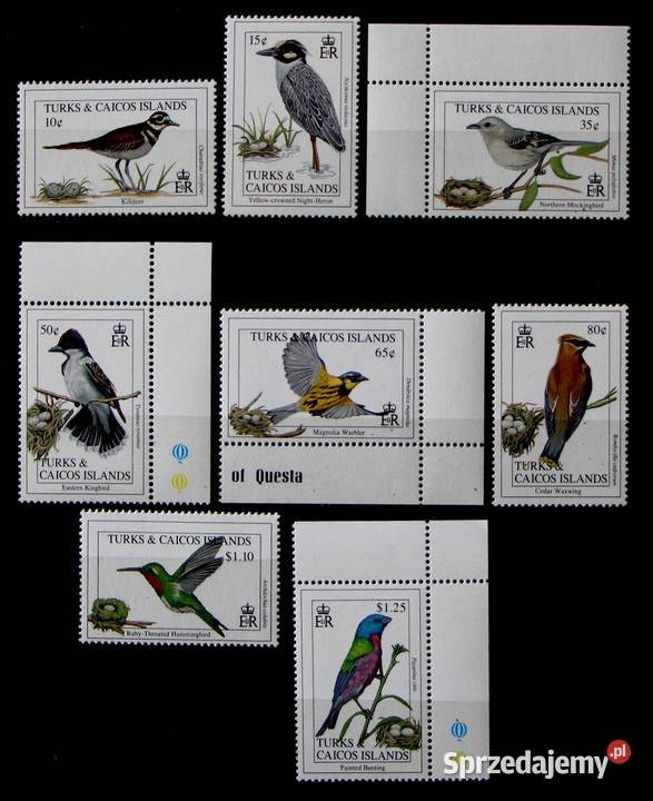 Turks Caicos wielkopolskie