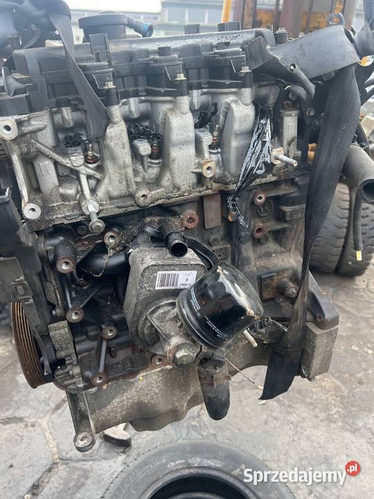 Silnik 15 Dci k9k6770 Renault osobowe lubelskie Radzyń Podlaski sprzedam