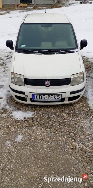 Sprzedam pande panda uszkodzony Panda małopolskie Drużków Pusty