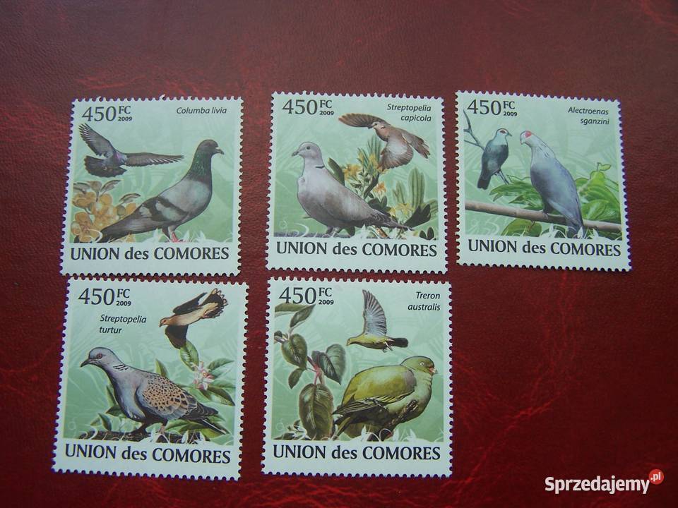 Komory 2009 MNH Fauna Ptaki Gołębie Filatelistyka Tychy