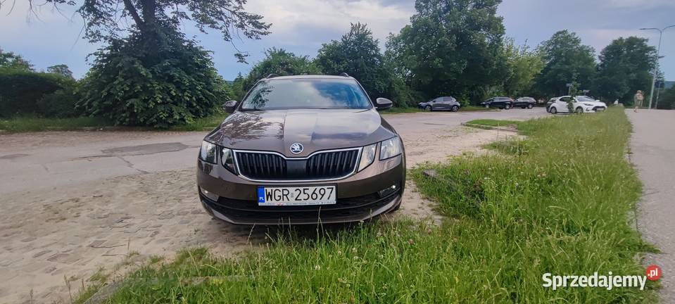 Skoda Octavia 15TSI 2019 Style Octavia świętokrzyskie