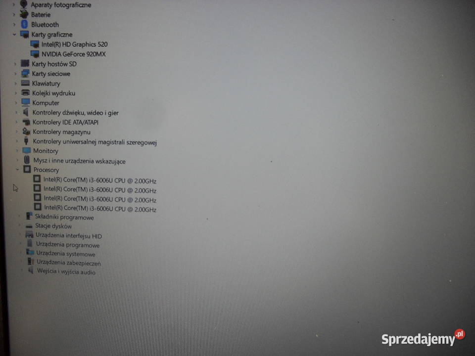 Asus i36006U4GB256GB SSDGeForce 920 MX 2GB Lublin