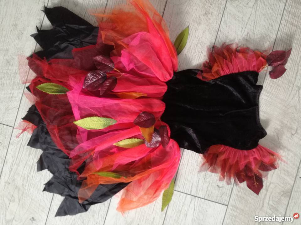 Strój na bal karnawałowy 110116 lubuskie