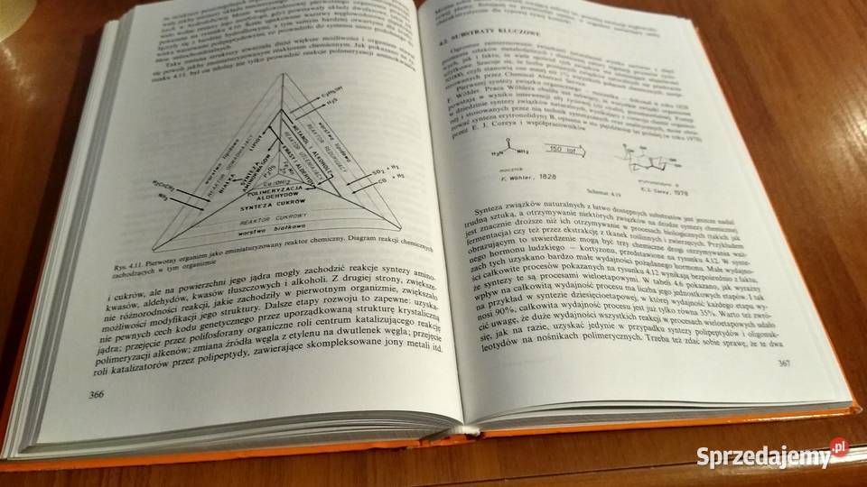 Chemia Bioorganiczna Barbara Lejczak Paweł ISBN 8301112476