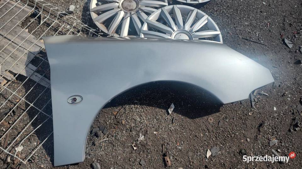 Błotnik prawy przód przedni Peugeot 206 lift Książ Wielkopolski sprzedam