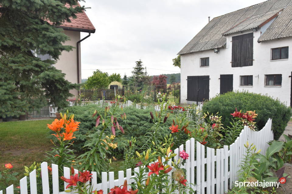 Dom zabudowania gospodarcze magazynowe