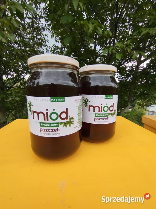 100 Miód spadziowy ze spadzi iglastej naturalny Lipnica Wielka