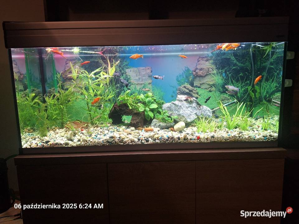 Akrawium 240 l podkarpackie Harta