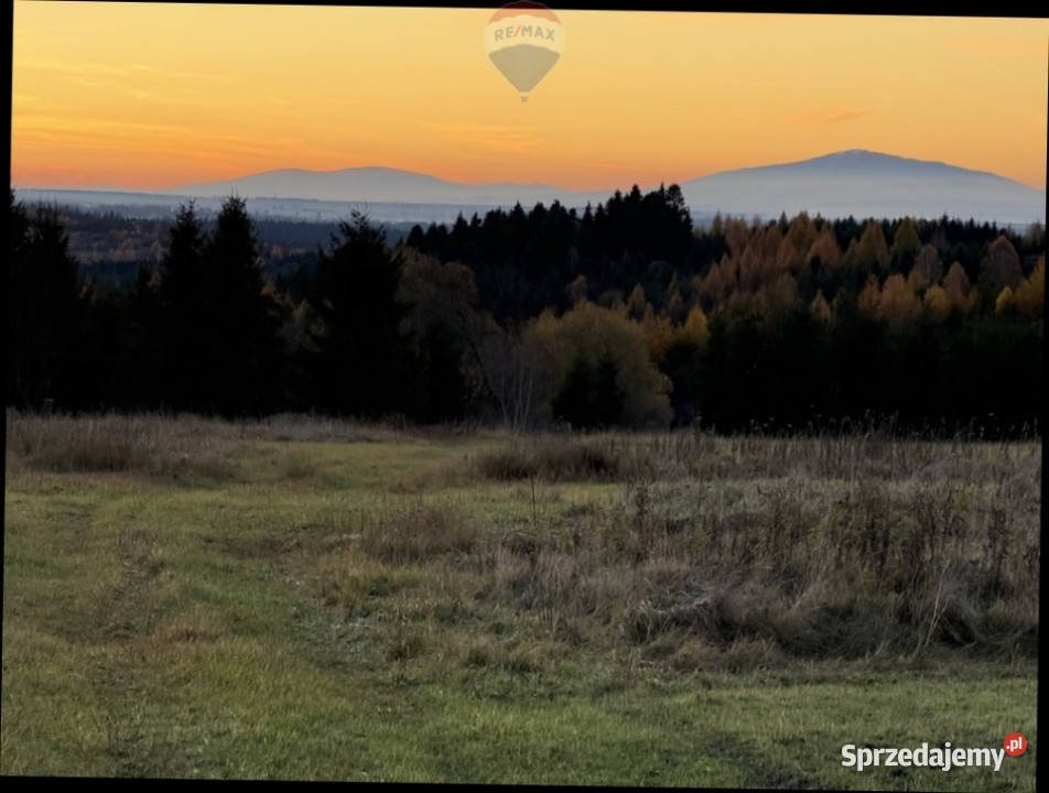 sprzedaży działki Frydman