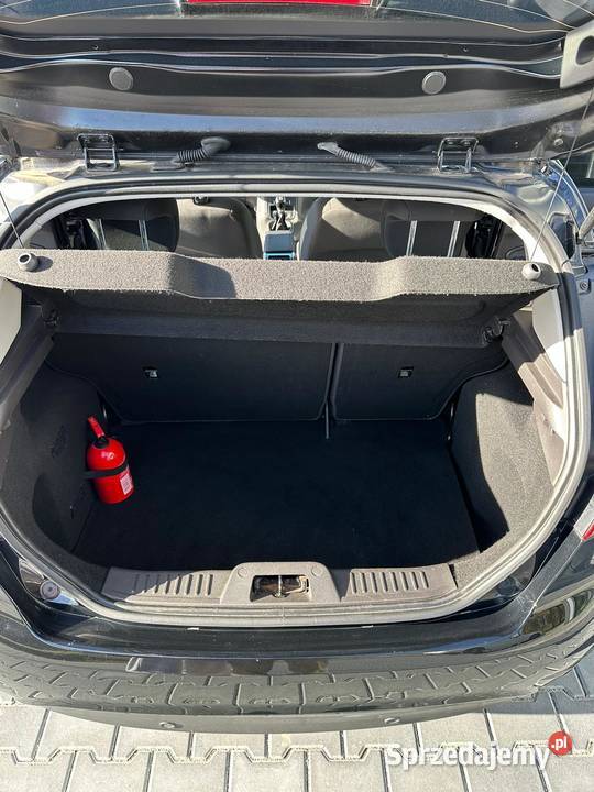 Ford Fiesta MK7 Bełchatów