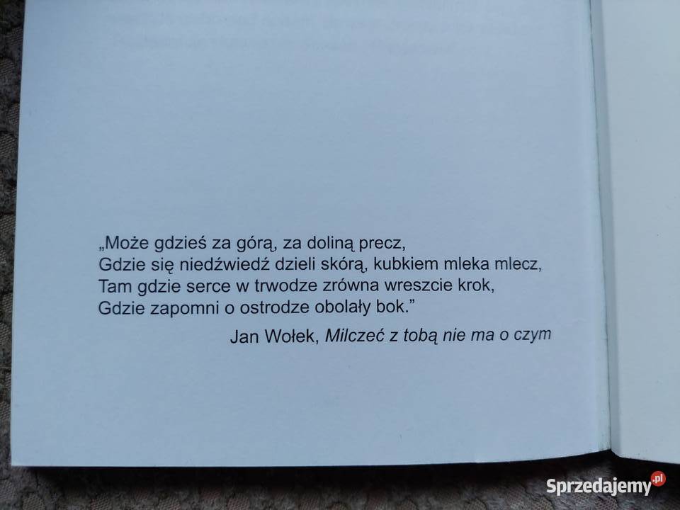 literatura kobieca Kamieniczka Edyta Szałek ISBN 9788392465867 Kraków