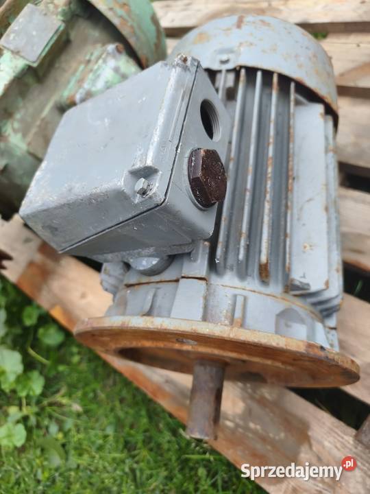 Sprzedam silnik elektryczny 3kw 920 obr Machnatka